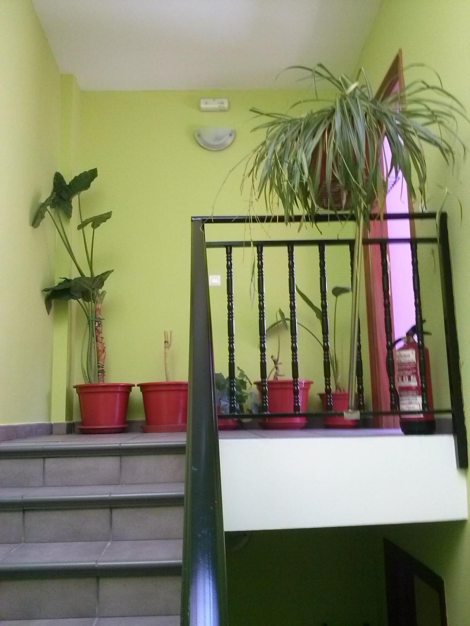 Hostal Ciudad De Nájera Kamer foto