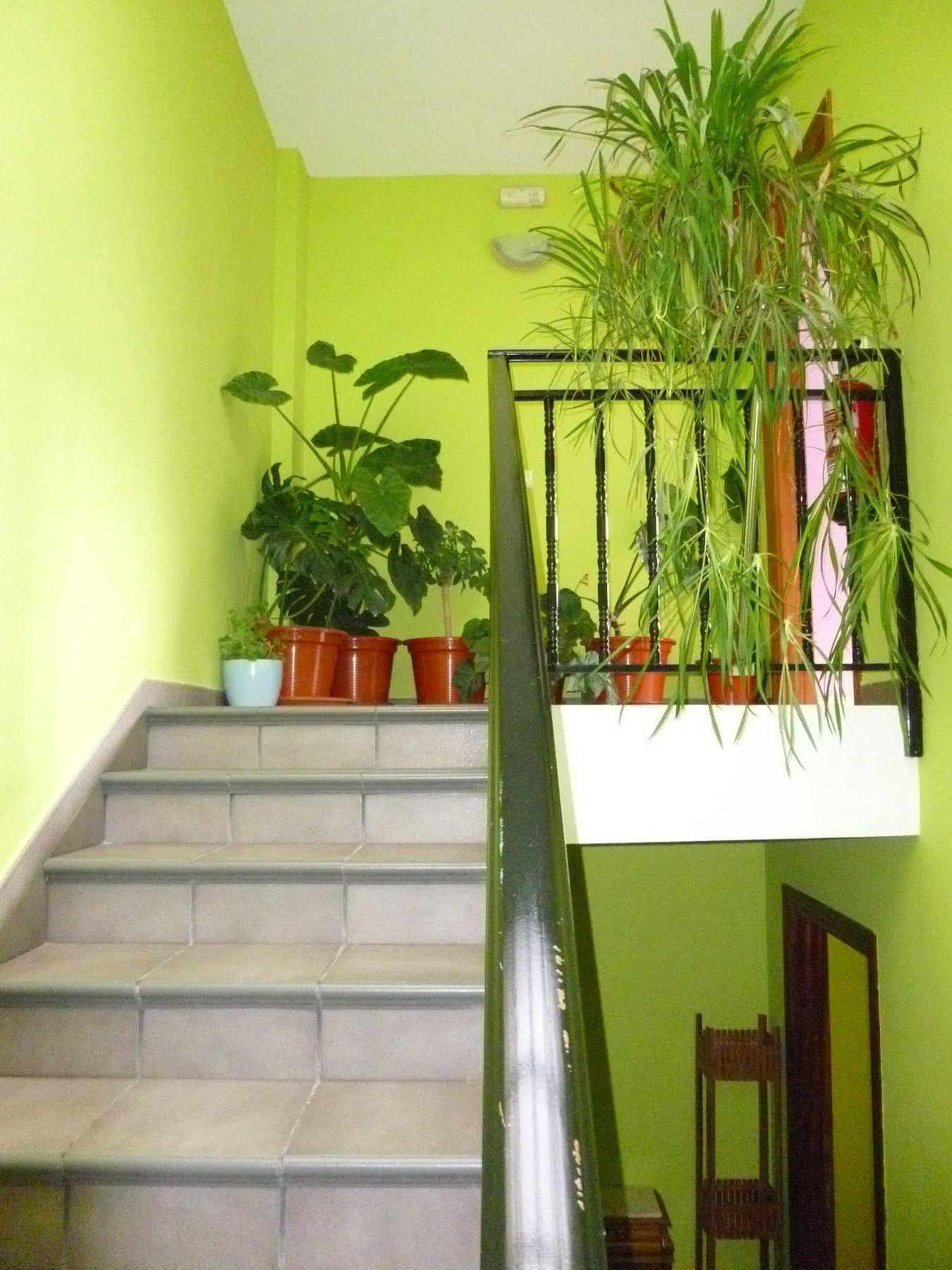 Hostal Ciudad De Nájera Buitenkant foto